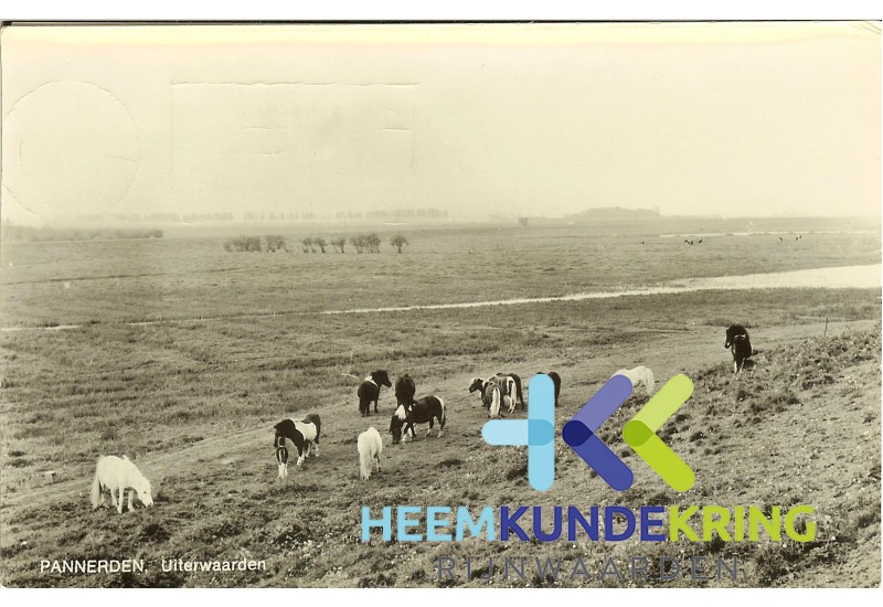 Uiterwaarden Pannerden FA0000034